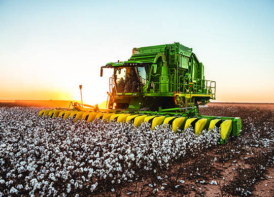 John Deer harvesting cotton
